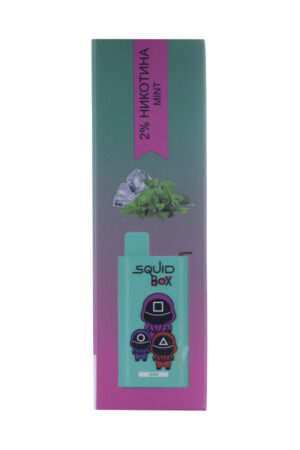 Электронные сигареты Одноразовый RandM Squid Box 5200 Mint Мята