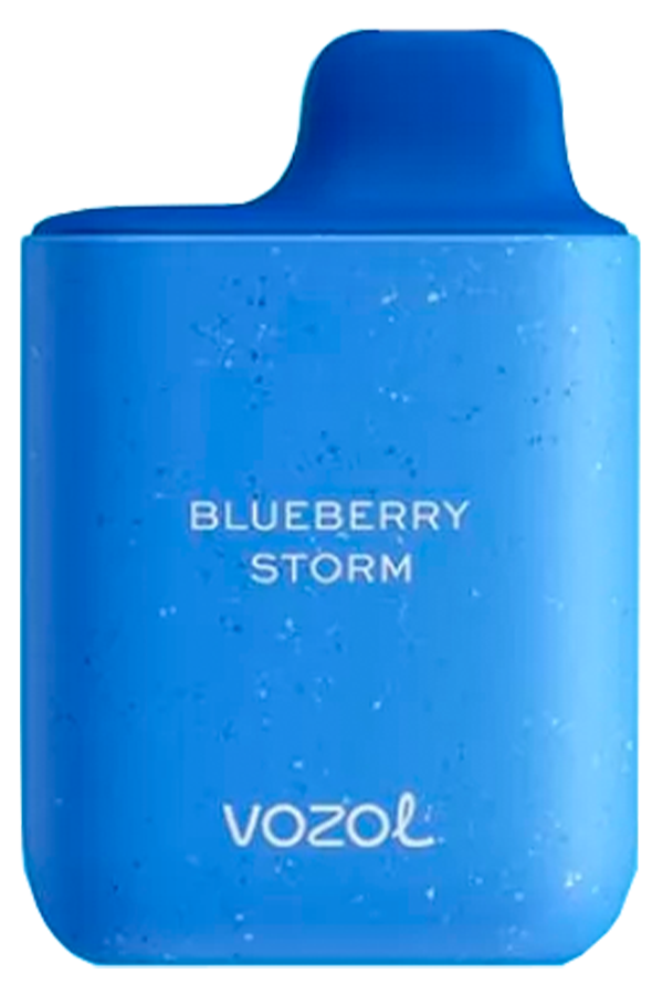 Электронные сигареты Одноразовый VOZOL STAR 4000 Blueberry Storm Черничный Шторм