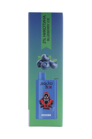 Электронные сигареты Одноразовый RandM Squid Box 5200 Blueberry Ice Ледяная Черника